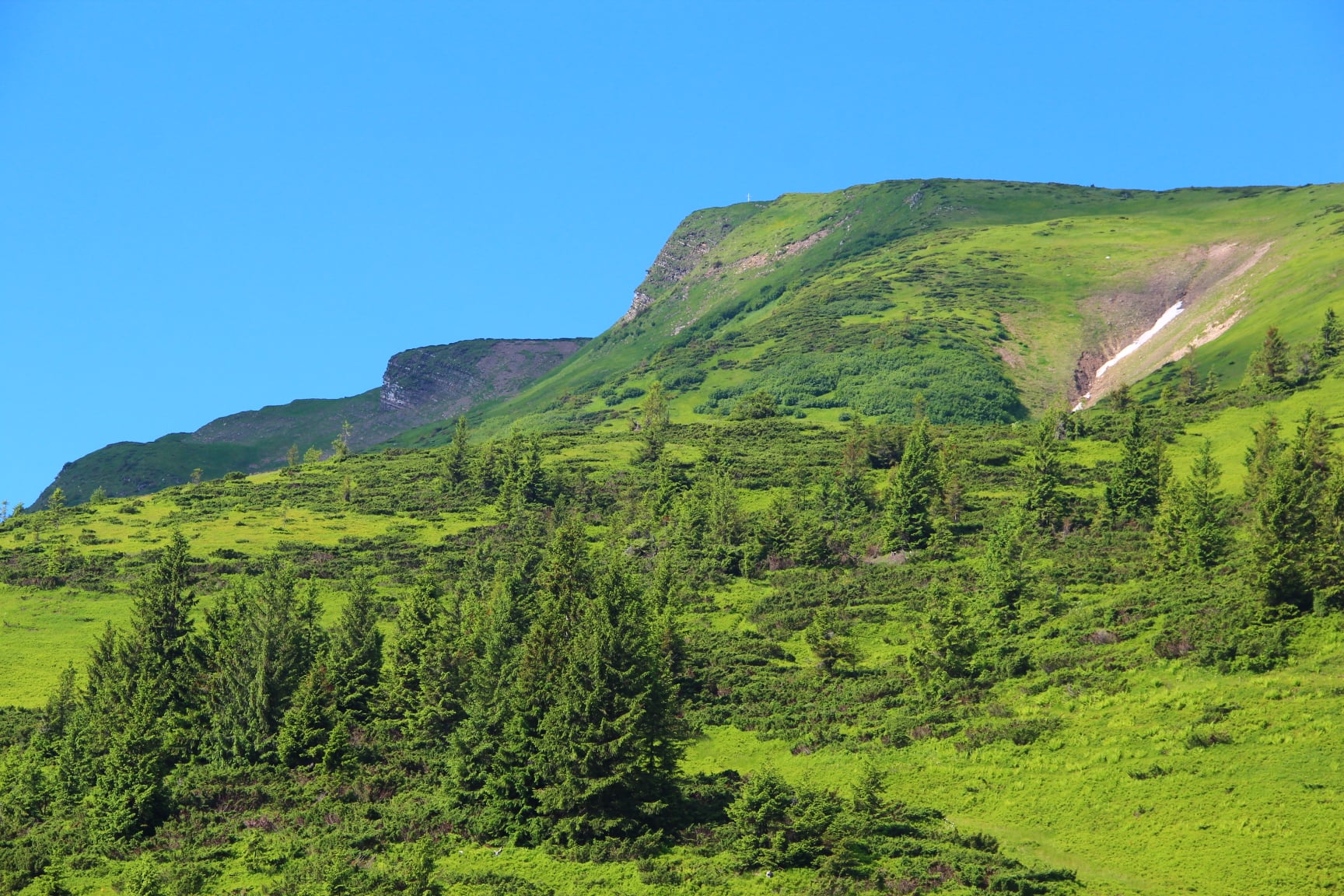 ВІДПОВІДАЛЬНІСТЬ ЗА ТВОРІННЯ  ТА БУДІВНИЦТВО МЕГАКУРОРТУ НА СВИДОВЦІ В КАРПАТАХ
